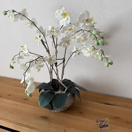 Apartament Hentschel